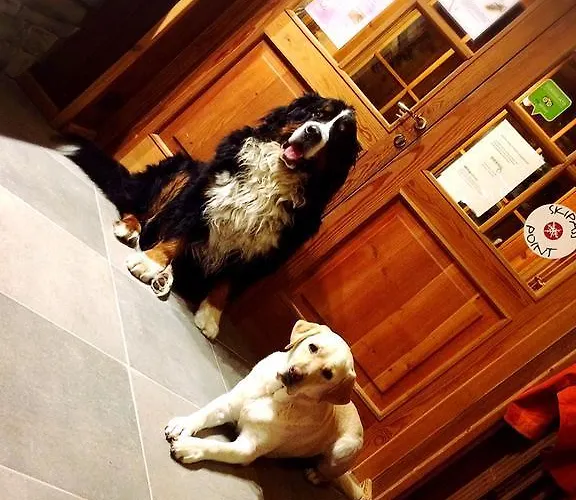 Anna Maria Hotel Champoluc